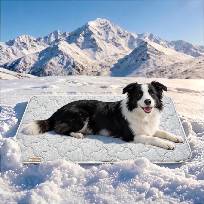 PPOLCA Waterproof Cooling Mat for Large Dogs - Q-MAX>0.5, Thin Memory Foam Kennel Dog Crate Bed, Portable Non-Slip & Machine Washable Dog Pad for Indoor & Outdoor 23x35, Grey