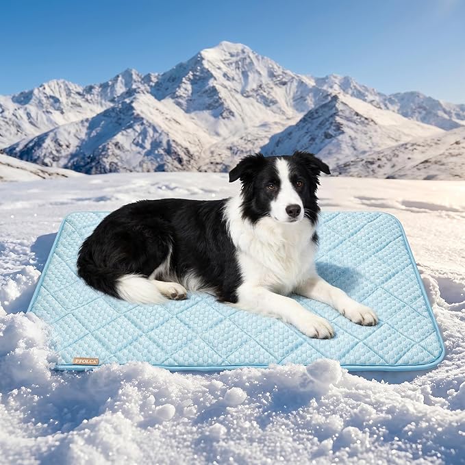 PPOLCA Waterproof Cooling Mat for Large Dogs - Q-MAX>0.5, Thin Memory Foam Kennel Dog Crate Bed, Portable Non-Slip & Machine Washable Dog Pad for Indoor & Outdoor 28x41, Light Blue