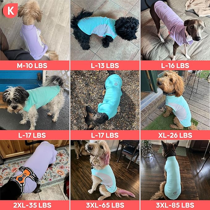 KYEESE 2Pack Dog Cooling Shirt, Breathable Dog Shirt for Small Dogs Girl Boy, Sun Protection Reflective Pet Vest, Lightweight Soft Tank Top Sleeveless Summer Dogs Clothes, Purple, L