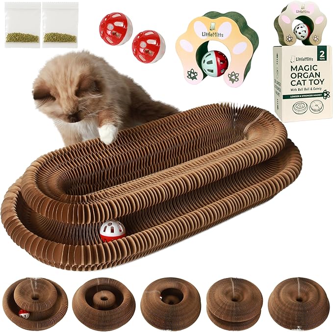 2-Pack Accordion Cat Toy Scratcher – Cat Toys for Indoor Cats – Expandable Cat Cardboard Scratcher, Magnetic Reversible Interactive Cat Toy | LittleMitts
