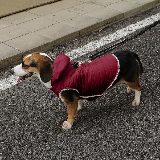 Vecomfy Fleece Lining Dog Hoodie with Harness Built in,Extra Warm Medium Dog Jacket in Winter Doggie Coats with Drawstring Hooded,Red L
