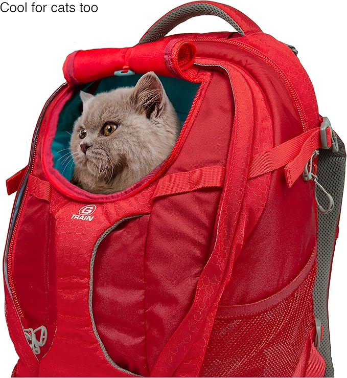 Kurgo G-Train Dog Carrier Backpack - Comfortable Travel Bag - Waterproof Armorsole Base - Convertible Backpack to Carrier - Padded Laptop Compartment - Hands-Free Pet Travel Backpack