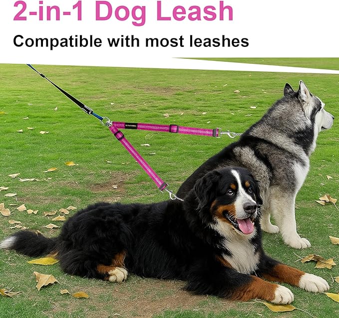 MingXpet Double Dog Leash for Two Dogs, No Pull Dog Leash, 360° Swivel No Tangle for Large Dogs Walking & Training, Shock Absorbing Reflective Bungee, Rose