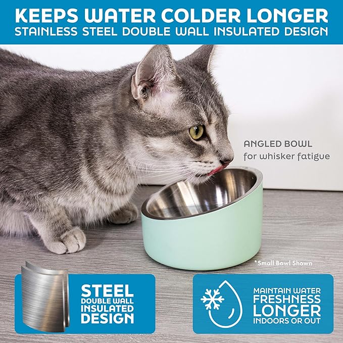 Master Pet Supply Stainless Steel Slanted Dog Cat Food Bowl - 8 oz Heavy Duty - Stainless Steel, Double Wall Insulated, Non-Slip Elevated Bowl for French Bulldogs Pugs Cats, Anti Rust Dishwasher Safe