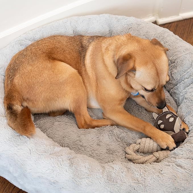 SPOT Dura-Fused Leather Animal Rings - Rope Dog Toy, Made with Real Leather and Jute Fabric, Durable Rope Ring is Great for Tugging and Chewing - 11in, Assorted Styles, 1 Piece