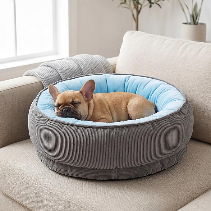 Calming Dog Bed for Small Dogs 16"x20" - Washable Donut Pet Bed with Anti-Slip Bottom, Soft Puppy Bed for Indoor Kittens and Cats with Removable Cover (Sky Blue)