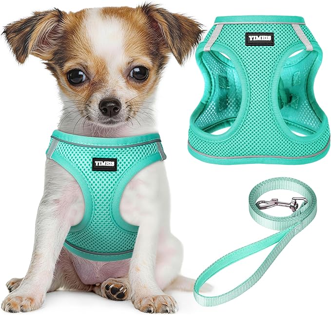 YIMEIS Dog Harness and Leash Set, No Pull Soft Mesh Pet Harness, Reflective Adjustable Puppy Vest for Small Medium Large Dogs, Cats (Tiffany Blue, Small (Pack of 1)