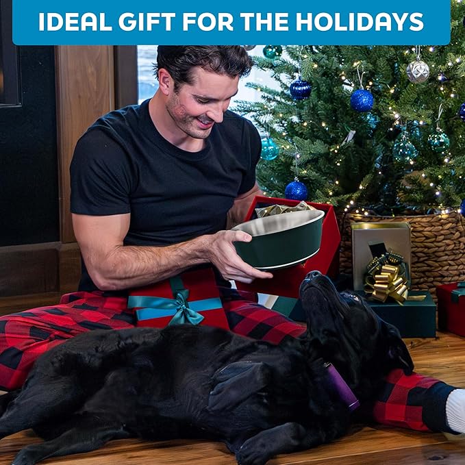 Master Pet Supply Stainless Steel Dog Bowls Set of 2 (32 Oz Each) with Non-Slip Rubber Base - Graphite - Basic Dog Food Bowl Water & Food Bowls for Small Medium Large Dogs & Cats, Metal Dish