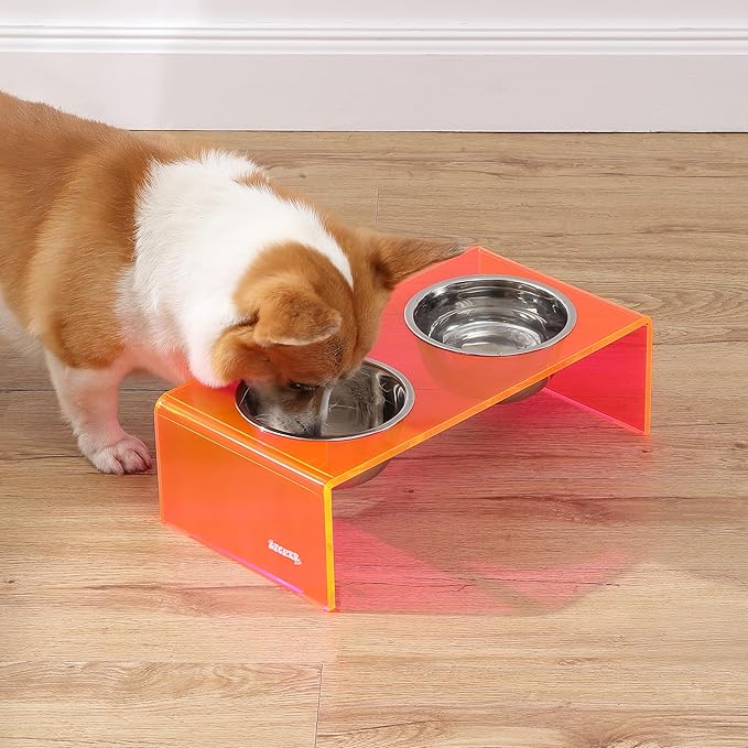 THE LICKER Store DBL2000E Keaton 5" Small/Medium Modern Acrylic Rectangular Elevated Pet Feeder with 20oz 2-Stainless Steel Bowls, Pink/Chrome