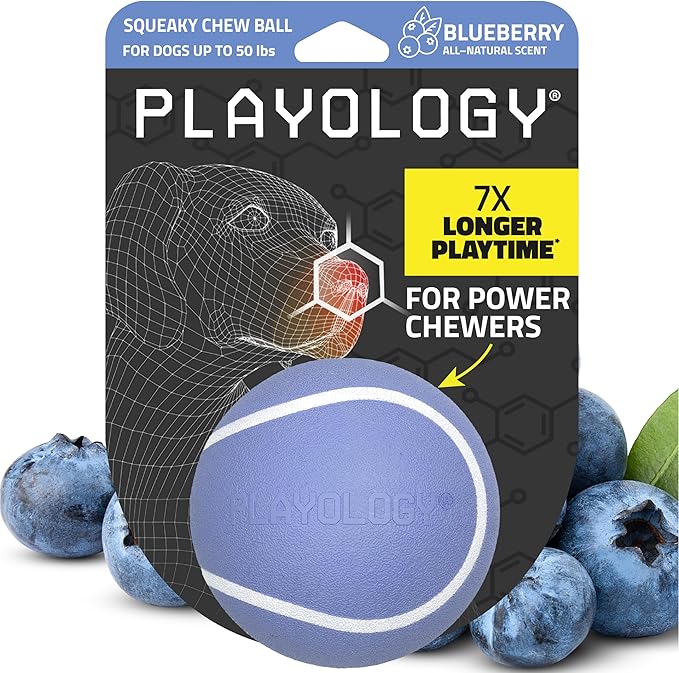 Playology Dog Toys | Squeaky Chew Ball for Dogs | Blueberry Scented Medium Dog Ball | Bouncy Floating Chew Toys for Fetch