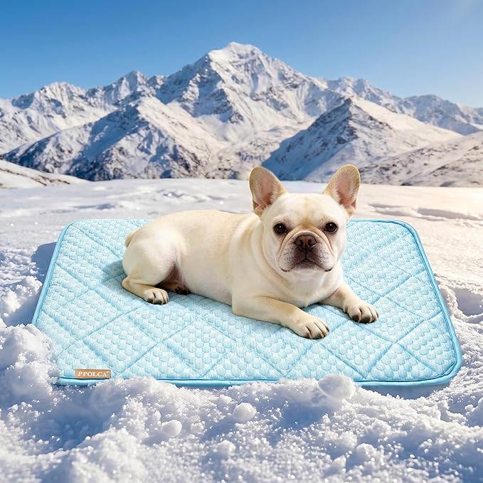 PPOLCA Waterproof Cooling Mat for Medium Dogs - Q-MAX>0.5, Thin Memory Foam Kennel Dog Crate Bed, Portable Non-Slip & Machine Washable Dog Pad for Indoor & Outdoor 21x29, Light Blue
