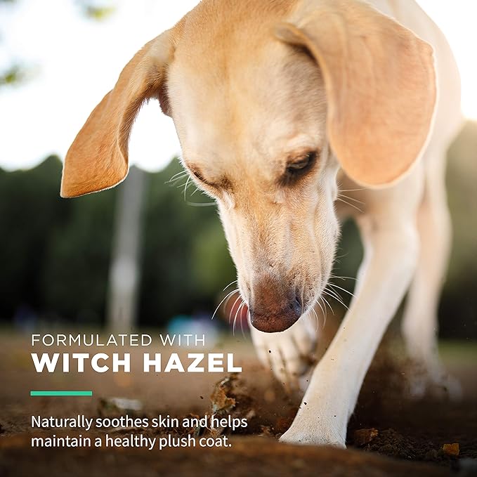 Wet Ones for Pets Extra Gentle Dog Wipes with Witch Hazel - Fragrance-Free, Hypoallergenic Pet Grooming Wipes for Snout, Eye, and Ear Areas, Sensitive Skin, 30 Count