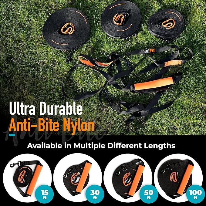 100ft Long Leash for Dogs - Long Line Dog Leash for Training Recall/Commands at Distance - Nylon, Heavy Duty - Ideal for Large & Small Breeds