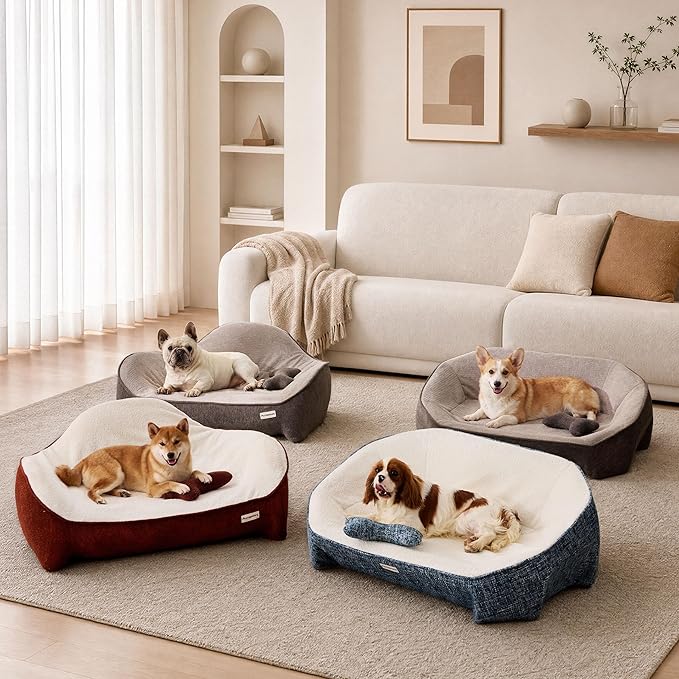 Orthopedic Dog Bed for Medium Small Dogs up to 120lbs, Extra Thick One-Piece Memory Foam Dog Bed, Never Sag Pet Sofa Couch with 3 Removable Washable Covers (Plush, Cooling, Leather) & Toy