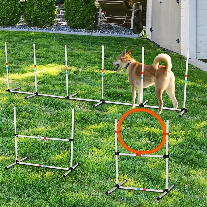 Dog Agility Training Equipment Set - Adjustable Jump Bar, Hurdles & Tunnel, Complete Dog Agility Course Kit for Outdoor Indoor Use, Easy to Assemble for Small Medium Large Dogs