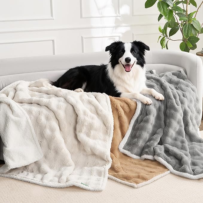 Soft Cozy Waterproof Dog Blanket for Couch - Room Decor Medium Pet Blanket for Furniture Protector, Washable Dog Crate Blankets for Indoors & Outdoors, Cream, 30"x40"