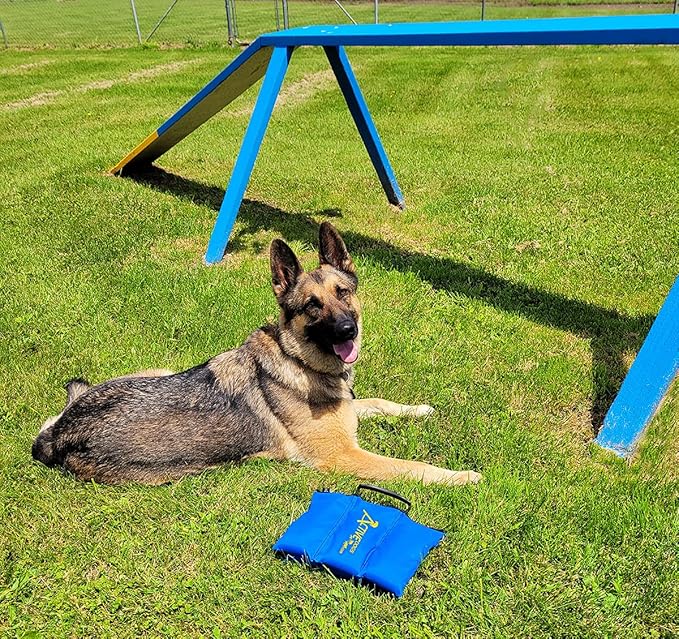 ActiveDogs Agility Saddlebag Sand Bag w/Weights 13# - Non-Constricting Saddlebags for Stabilizing Dog Agility Tunnel Equipment Indoor or Outdoor