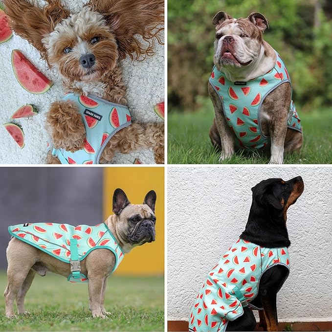 Spark Paws Dog Cooling Vest - SPF 50 UV Sun Protection - Summer Heat Relief Gear for Dogs, Lightweight, Evaporative Cooling - Dog Anxiety Relief Vest During Hot Days - Watermelon - Size M