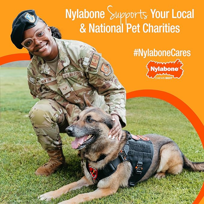 Nylabone Healthy Edibles Natural Dog Chews, Long Lasting Bones for Dogs, Bacon Flavor Dog Treats, Medium (1 Count)