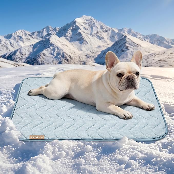 PPOLCA Waterproof Cooling Mat for Medium Dogs - Q-MAX>0.5, Thin Memory Foam Kennel Dog Crate Bed, Portable Non-Slip & Machine Washable Dog Pad for Indoor & Outdoor 21x29, Blue