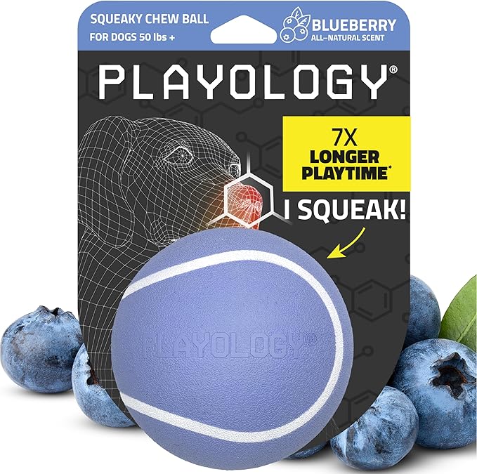 Playology Dog Toys | Squeaky Chew Ball for Large Dogs | Blueberry Scented Jumbo Dog Ball | Bouncy Floating Chew Toys for Fetch