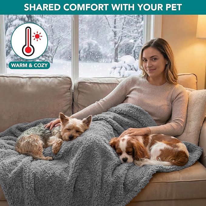 PetAmi Fluffy Waterproof Dog Blanket for Couch and Bed, Reversible Sherpa Pet Throw, Pee Proof Furniture Protector Sofa Cover, Washable Cat Blanket for Small Medium Dogs and Cats (Light Grey, 29x40)