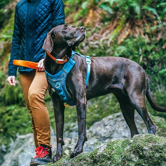 Kurgo Journey Air Dog Harness - Secure Fit for Active Dogs - Padded Chest - Lightweight Ripstop Fabric - Breathable Mesh - Reflective Trim - Back Assist Handle - Coral - Large