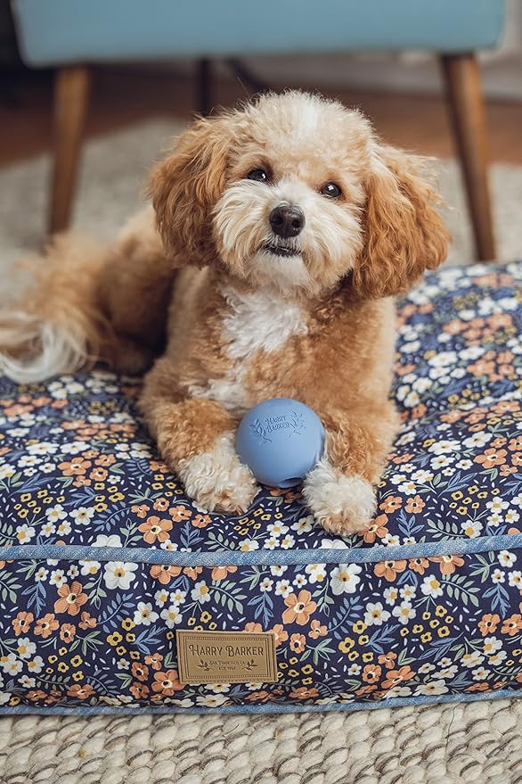 Harry Barker Natural Rubber Dog Fetch Balls, Durable High-Bounce Interactive Toy with Safety Air Vent, Treat-Stuffable Rubber Balls for Dogs, 2.5 Inch, 6-Pack