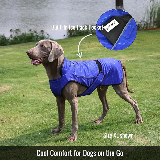 Dog Cooling Vest with Ice Pack – 2-Layer Evaporative Cooling Jacket with High Collar, UV Protection & Size-Matched Ice Pack – Cooling Vest for Dogs for Hot Weather (Blue Aqua, Medium)