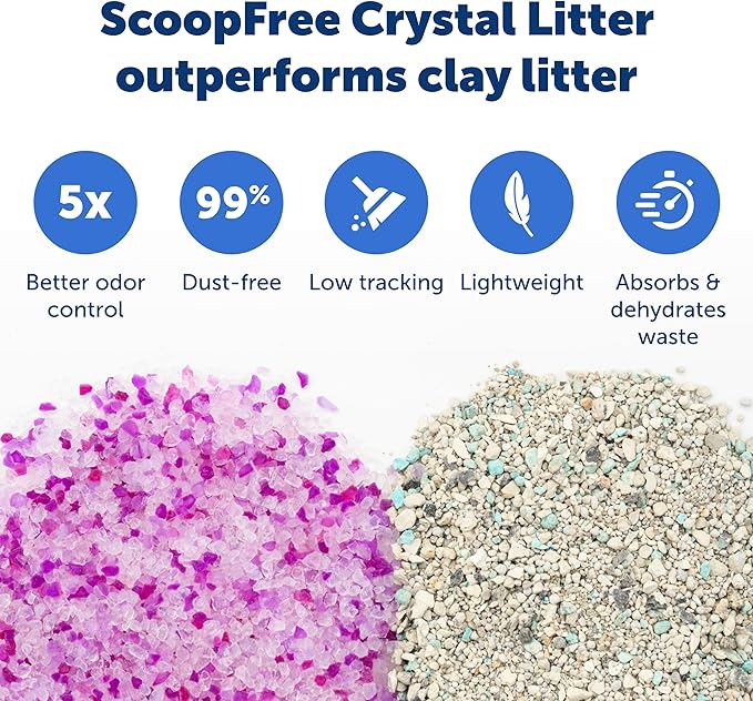 PetSafe ScoopFree Crystal Litter Tray Refills – Lavender Crystals, 3-Pack – Disposable Tray – Includes Leak Protection & Low Tracking Litter – Absorbs Odors on Contact