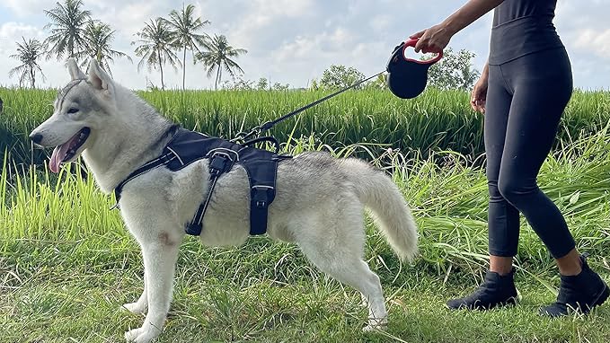 Tuff Pupper Heavy Duty Retractable Dog Leash | 16 ft Dog Leash with Reflective Stitching for Nighttime Safety | One Button Lock and Release | Comfortable Hand Grip | for Dogs Up to 120 lbs