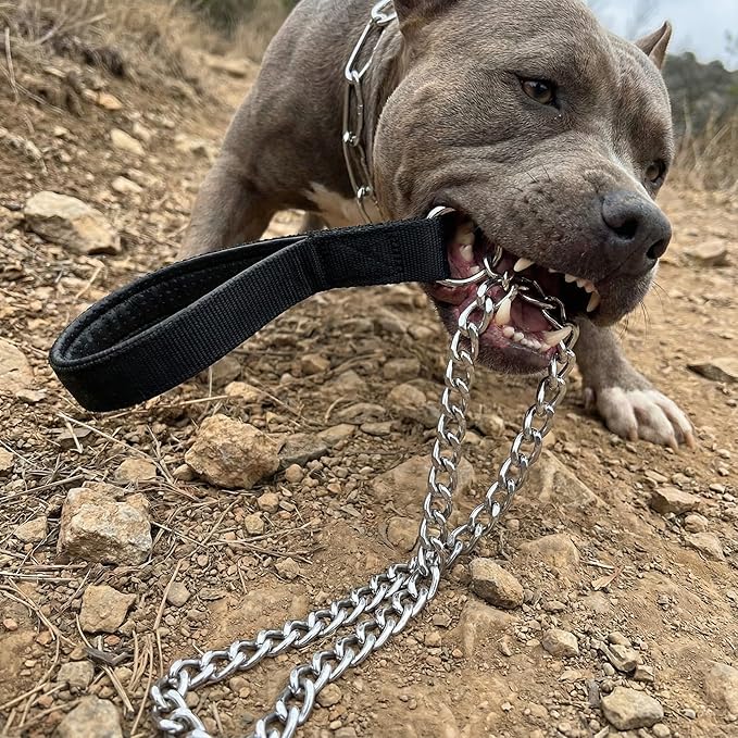 Heavy Duty Dog Leash,Metal Dog Chain Leash with Padded Handle for Large & Medium Size Dogs (4 ft. x 3.0 mm (0-80 lbs.))