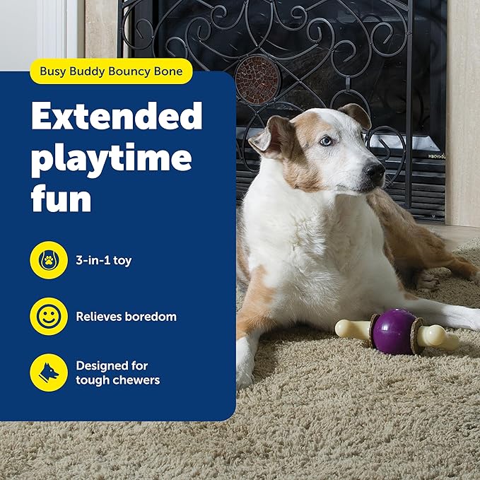 PetSafe Busy Buddy Bouncy Bone, Treat Holding Dog Toy, Large, Best for Dogs Over 75 Lb.