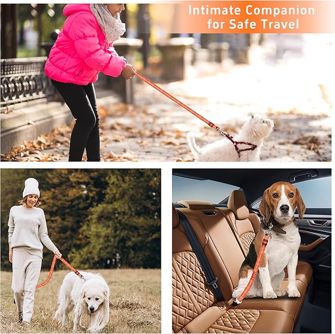 Seyezo 3-Piece Dog Car Harness Set - Retractable, Adjustable, Reflective Dog Seatbelt for Vehicle Headrests, Heavy Duty & High Elastic, Orange