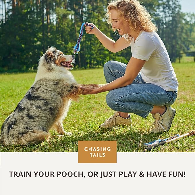 Chasing Tails Flirt Pole for Dogs Heavy Duty - 36 Inch Flirt Pole for Large Dogs with Extendable 83 Inch Rope | Two Toys Included | Suitable for All Breeds | Pets Play Equipment