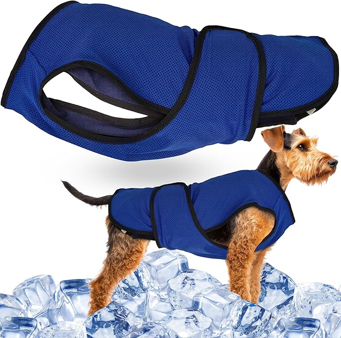 Dog Cooling Vest – Lightweight Jacket for Dogs with Zip Neck & Velcro – Easy On/Off Cooling Coat for Walks, Travel & Outdoors by Lautus Pets - M