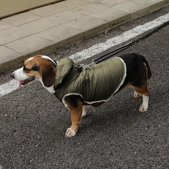 Vecomfy Fleece Lining Dog Hoodie with Harness Built in,Extra Warm Small Dog Jacket in Winter Puppy Coats with Drawstring Hooded,Green M