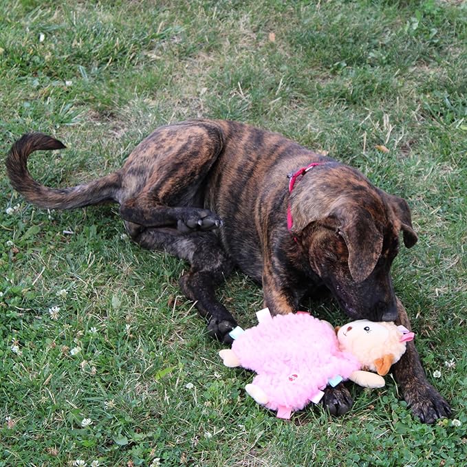SPOT Soothers Tabbie Lambie Dog Toy - 12in Stuffing-Free Calming Plush with Lavender Scent & Squeaker for Puppies & Small Dogs, Separation Anxiety Relief - 1 of 3 Assorted Colors, Sent at Random