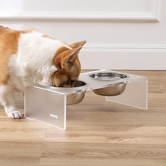 THE LICKER Store DBL2000K Keaton 5" Small/Medium Modern Acrylic Rectangular Elevated Pet Feeder with 20oz 2-Stainless Steel Bowls, Moon White/Chrome