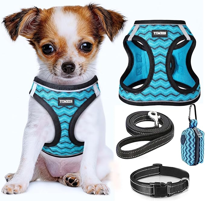 YIMEIS Dog Harness and Leash Set, No Pull Soft Mesh Pet Harness, Reflective Adjustable Puppy Vest for Small Medium Large Dogs, Cats (Blue-Update, Medium (Pack of 1)