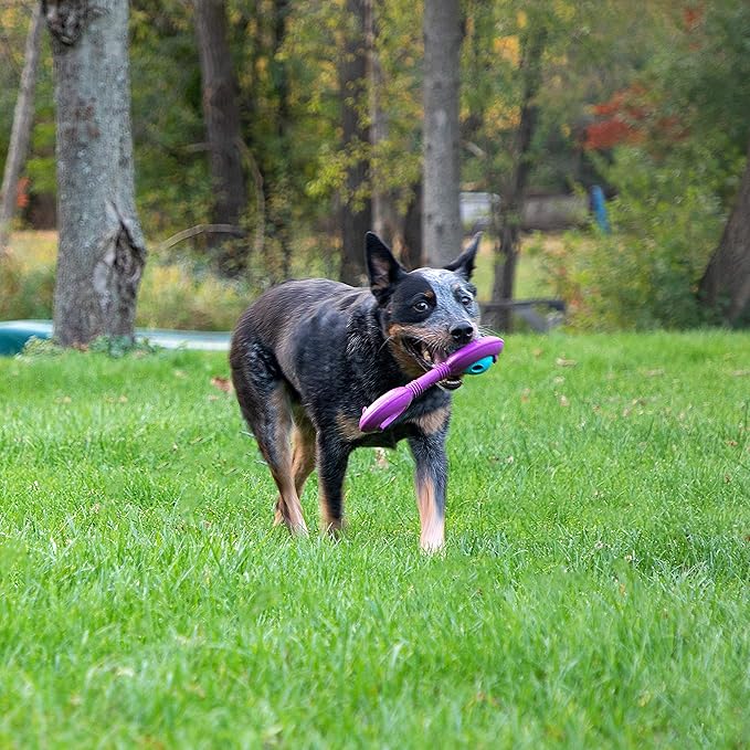 Chew King Premium Treat Dog Toy, Durable Natural Rubber Collection, Fetch and Tug Dog Toy, Dog Treat Toys for Boredum