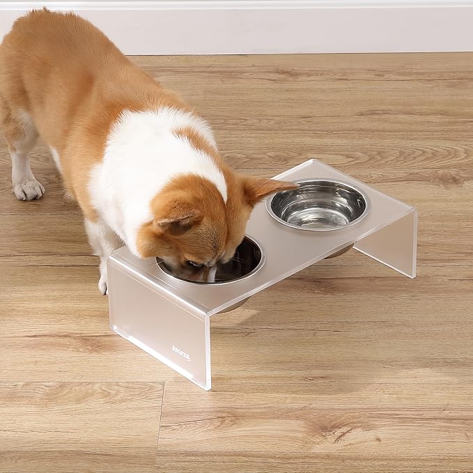 THE LICKER Store DBL2000K Keaton 5" Small/Medium Modern Acrylic Rectangular Elevated Pet Feeder with 20oz 2-Stainless Steel Bowls, Moon White/Chrome