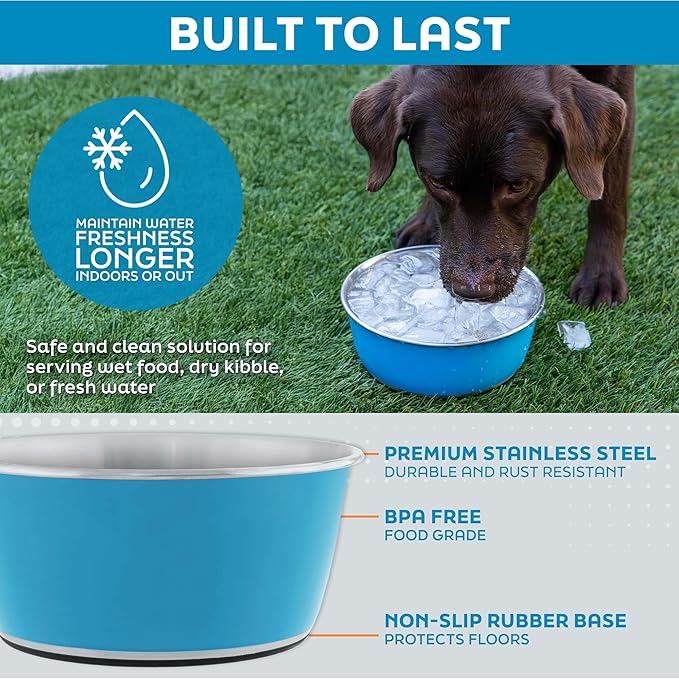 Master Pet Supply Stainless Steel Dog Bowls Set of 2 (64 Oz Each) with Non-Slip Rubber Base - True Blue - Basic Dog Food Bowl Water & Food Bowls for Small Medium Large Dogs & Cats, Metal Dish