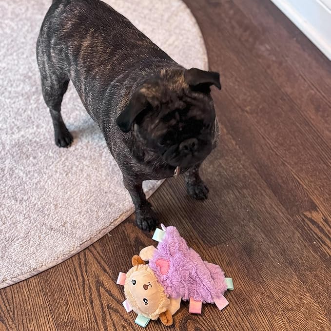 SPOT Soothers Tabbie Lambie Dog Toy - 8in Mini Stuffing-Free Calming Plush with Lavender Scent & Squeaker for Toy Breeds & Puppies, Anxiety Relief - 1 of 3 Assorted Colors, Sent at Random