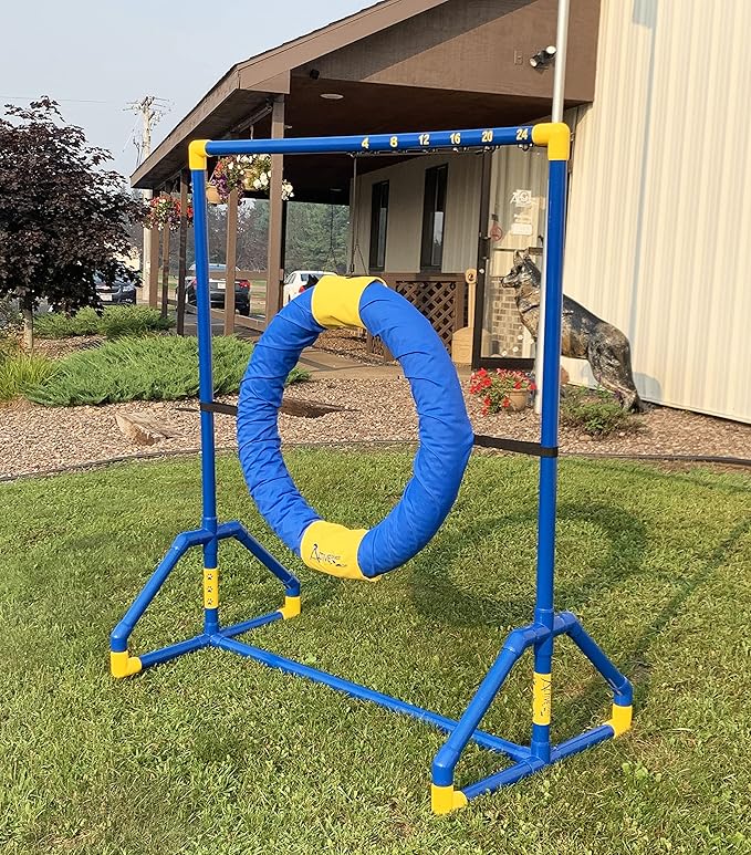ActiveDogs Endurance Agility Agility Competition Tire Jump PVC Frame for Dog Agility Tunnel Equipment Indoor or Outdoor use (Standard Tire)