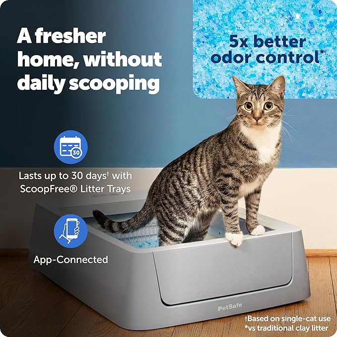 PetSafe ScoopFree Complete Smart Self-Cleaning Cat Litter Box - WiFi & App Enabled - Hands-Free Cleanup with Disposable Crystal Trays - Less Tracking, Superior Odor Control - Includes Disposable Tray