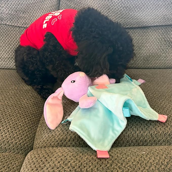 SPOT Soothers Lil Plush Blanket Dog Toy - 10in Soft Cuddle Blanket with Squeaker & Crinkle, Anxiety Relief & Sleep Aid for Small Dogs - 1 of 3 Animal Styles, Sent at Random