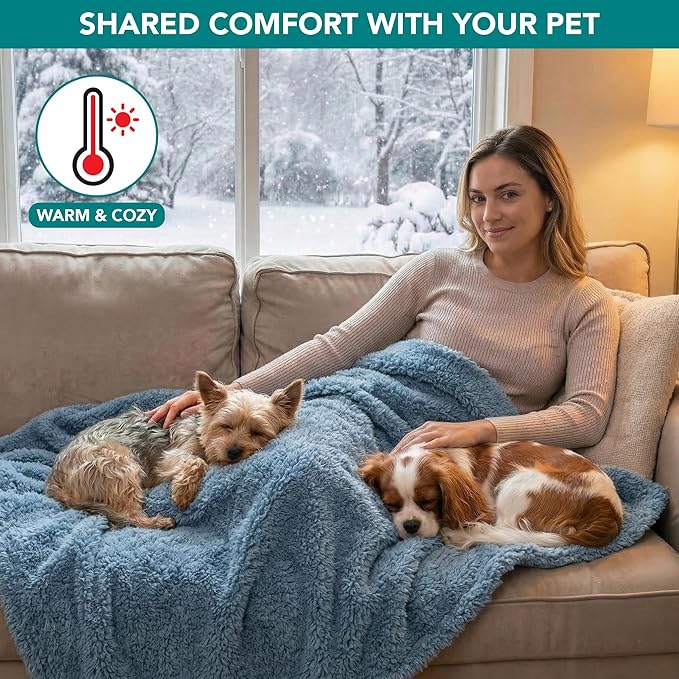 PetAmi Fluffy Waterproof Dog Blanket for Couch and Bed, Reversible Sherpa Pet Throw, Pee Proof Furniture Protector Sofa Cover, Washable Cat Blanket for Small Medium Dogs and Cats (Dusty Blue, 24x32)