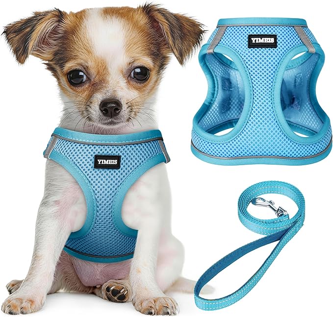 YIMEIS Dog Harness and Leash Set, No Pull Soft Mesh Pet Harness, Reflective Adjustable Puppy Vest for Small Medium Large Dogs, Cats (Sky Blue, Medium (Pack of 1)