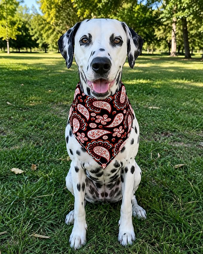 PET SHOW 50 Pack Big Paisley Dog Bandanas Bulk XL Dog Scarves Floral Bibs Kerchief Set for Medium Large Dogs Girl Boy Pet Holiday Party Grooming Accessories